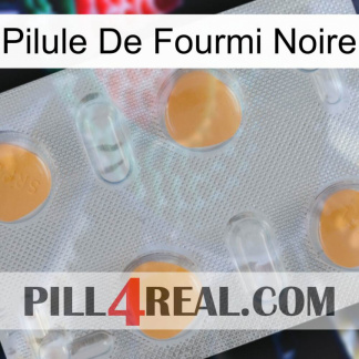 Black Ant Pill 24